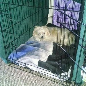 Meet your Posher, Marcy